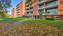 Liegenschaft