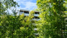 17.035_Aussenansicht_Wohnung_Tuchmacherstrasse_28.08.2024_NSH