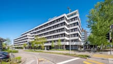 Office building, white exterior, glass windows, multiple floors, sign reading 'office-center', trees, streetlight, cars parked on side, street with pedestrian lane and crosswalk, traffic signal