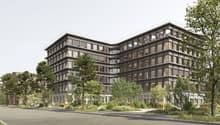5 story building, multiple windows, balconies on some windows, green plants and trees around, empty street