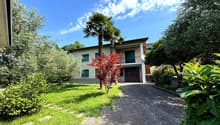 Two-story house with green exterior, large windows, balconies, surrounded by lush greenery including palm trees and other vegetation. Gravel driveway leading to the house.