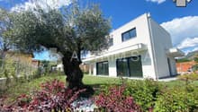 Two-story modern white house with large windows, surrounded by a well-maintained garden with an olive tree and colorful flowers.