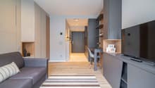 Open-plan studio apartment with living room, kitchenette, and dining area. Gray and wood tones throughout, with a gray sofa, wooden floors, and built-in shelving and storage. Entrance hallway leads to the apartment. Dishwasher visible in the kitchenette a