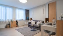 Spacious living room with large windows, grey sofa, wooden furniture, and a rug on the hardwood floor.