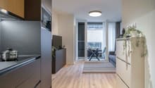 Open-concept living area with kitchen, living room, and balcony. Modern kitchen with built-in appliances including a dishwasher. Hardwood flooring throughout. Cozy living room with sofa and dining table. Large windows providing natural light and access to