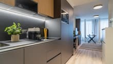 Modern kitchen with wood-tone cabinets, stainless steel appliances including a dishwasher, and a potted plant on the counter. The kitchen opens up to a dining area with a glass table and chairs.