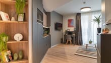 Open-plan studio apartment with wooden flooring, gray walls, built-in kitchen with dishwasher, desk area, and decorative plants and shelving