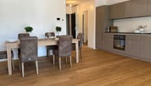 The image shows an open-plan living room and kitchen area with a dining table and chairs. The kitchen features gray cabinets and appliances, including a dishwasher. The living room has a wooden dining table with chairs, and there are potted plants on the