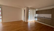 Open kitchen, hardwood floors, white walls, large windows, sliding doors, kitchen island, stainless steel appliances