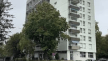 High-rise building, white exterior, multiple balconies, trees, shrubs, street