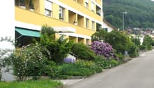 Immagine dell’oggetto