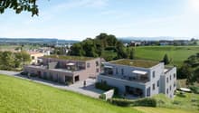 Two-story house, green roof, balcony, garden, green lawn, green field, trees, mountains in the distance