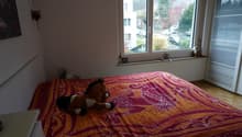 Listing picture