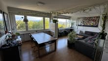 Listing picture