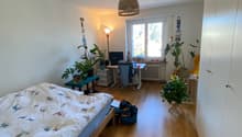 Listing picture