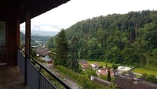 wooden floor, wooden railing, glass door, outdoor balcony, view of greenery, road