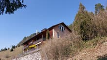 Listing picture