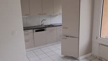 white tiles, kitchen area, cabinet with sink, refrigerator