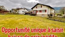 Immagine dell’oggetto