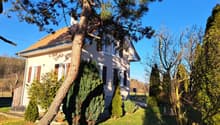 Listing picture