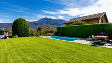 Listing picture