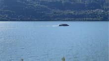 Immagine dell’oggetto