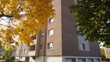 DSC00682.JPG