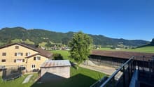 Blick ins Grüne