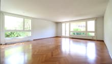 spacious room, hardwood floors, large windows, sunny, clean