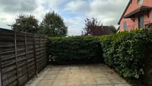 IMG_2287.jpeg
