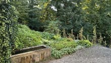 Gartenbereich