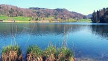 lake, green grass, trees, mountains
