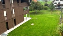 brown wooden house, balcony, fenced yard, green grass, trees, another house in the background