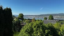 View of the city from the garden, trees, mountain, lake, buildings in the distance.