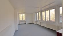 empty room, white walls, gray floor, large windows, white radiators