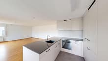 35-ZW-Parkstrasse-4a-9430-St-Margrethen-23263131-03022026_114945