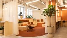 Open concept office space with exposed wooden ceiling, large windows, comfortable seating areas, potted plants, and modern lighting fixtures