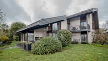 Modern house, white exterior, large windows, balcony, garden, shrubs, pathway