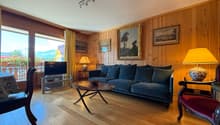 Séjour avec cheminée / Living room with fireplace / Soggiorno con camino