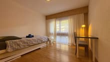 Espace chambre / séjour avec vue Nord / Bedroom/living room area with north-facing view / Camera da letto/soggiorno con vista su nord