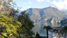 Immagine dell’oggetto