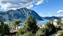 Immagine dell’oggetto