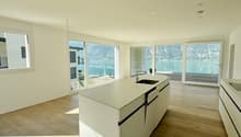 modern kitchen with island, large windows, modern appliances, wood floor, large open space