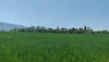 Listing picture