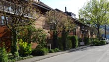 apartment buildings with brick facades, windows, and balconies, greenery, street with sidewalk