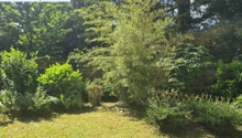 Listing picture