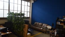 Listing picture
