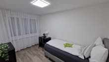 Spacious bedroom with white walls, large windows with sheer curtains, hardwood flooring, a black nightstand, and a bed with white bedding and a green decorative pillow.