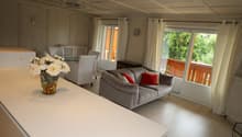 gray sofa, white chairs, glass table, flowers in a vase, sliding glass doors, balcony