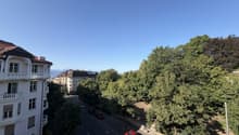 IMG_1919.jpeg
